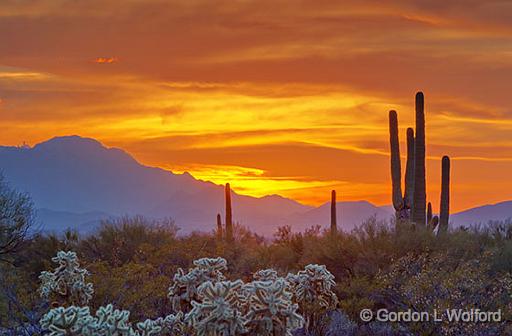 Desert Sunset_76016-9.jpg - Kitt Peak in the distancePhotographed in the Sonoran Desert west of Tucson, Arizona, USA.